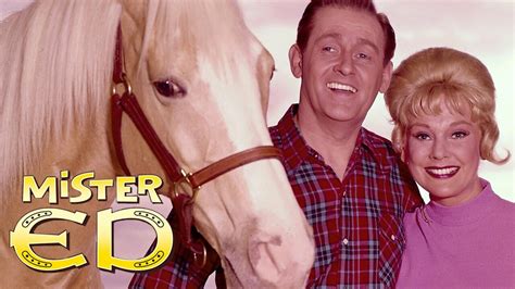 mr ed sitcom|why was mr ed cancelled.